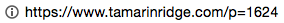 bad-url-confusing.png
