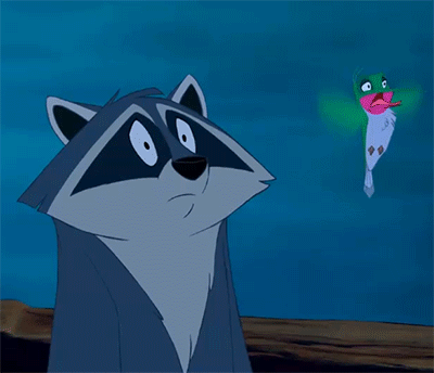 hummingbird-surprise.gif