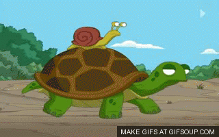 slow-down-o.gif