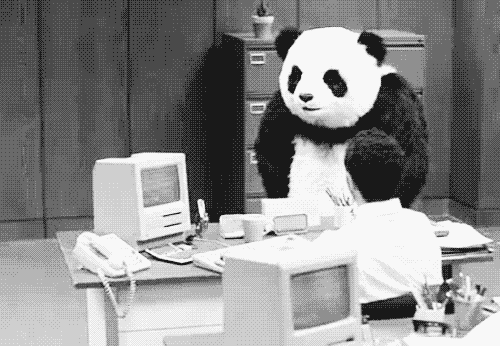 panda-smash.gif